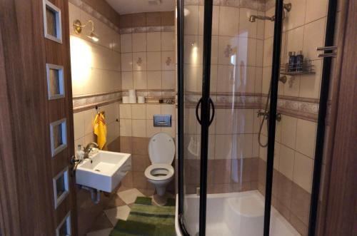 a bathroom with a shower and a toilet and a sink at Wonderful house in Sokolov