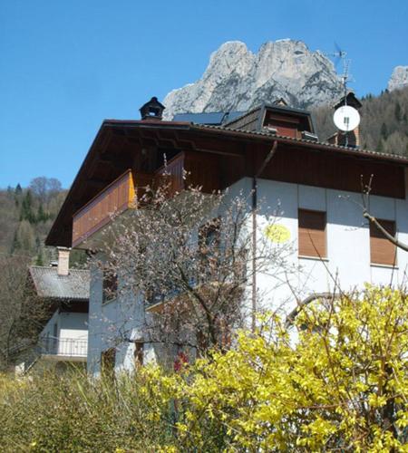 Agordo Cerbiatto