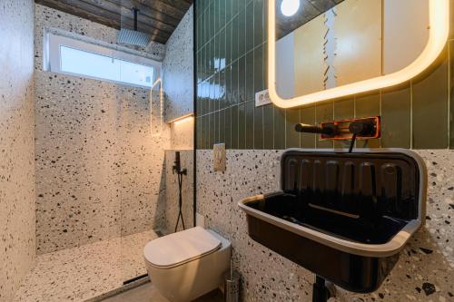 a bathroom with a toilet and a sink and a mirror at Blend Mountain Villa in Buşteni