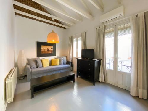 a bedroom with a couch and a tv and a window at Montaber Apartments - La Paz Market in Madrid