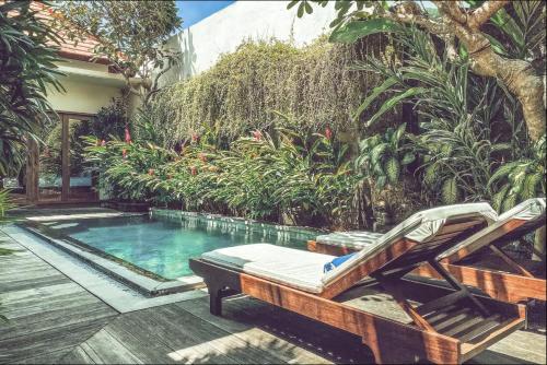 Villa KIWI – Photos 3