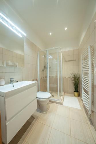a bathroom with a toilet and a sink and a shower at Národní dům Podbořany in Podbořany