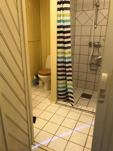 a bathroom with a shower and a tiled floor at Skjæret rorbu in Stamsund