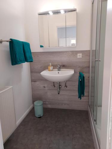 a bathroom with a sink and a mirror and a shower at Apartment 2 Unter den Eichen 