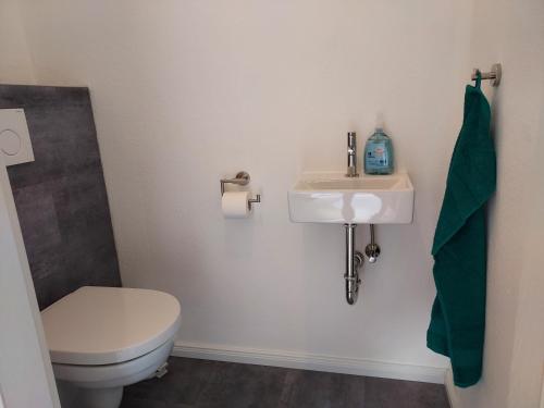 a bathroom with a toilet and a sink at Apartment 2 Unter den Eichen in Tätendorf-Eppensen