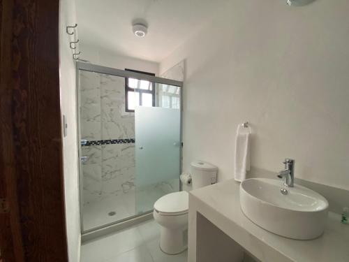 a bathroom with a toilet and a sink and a shower at Hotel La Lejona in San Miguel de Allende