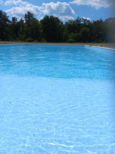 una gran piscina de agua azul con árboles en el fondo en Motel Traffic, en Linteşti
