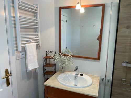 カンガス・デ・モラソにあるMi casita de Cangasのバスルーム(洗面台、鏡付)