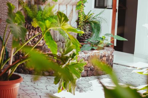 a room with plants and a stone wall at Villa Loretana in Yurimaguas