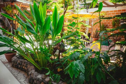 a garden with many plants and a brick wall at Villa Loretana in Yurimaguas