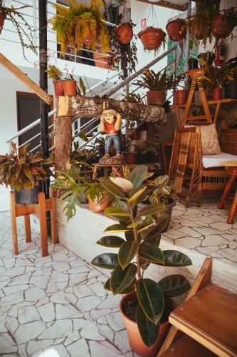a room filled with lots of potted plants at Villa Loretana in Yurimaguas
