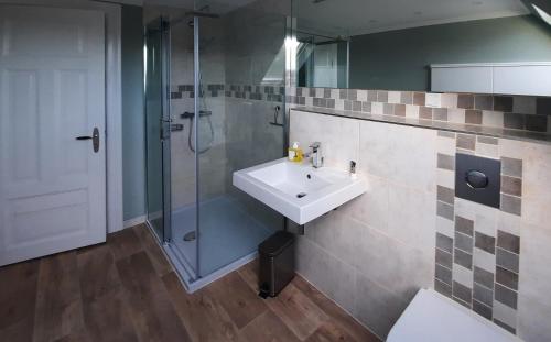 uma casa de banho com um lavatório e um chuveiro em Ferienhaus am Elbdeich em Sankt Margarethen