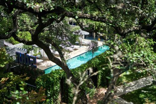 an overhead view of a swimming pool through trees at Hotel Saint Cecilia in Austin