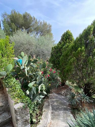 Κήπος έξω από το Entre Nice et Monaco grande Villa avec piscine privée 12 personnes