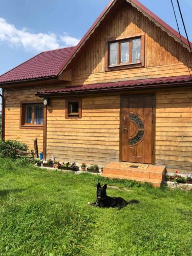 a black dog laying in the grass in front of a house at HOUSE Mold in Lazeshchyna