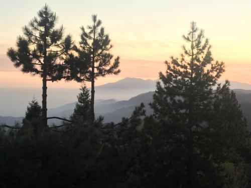 Blue Sky Cabin – Photos 2