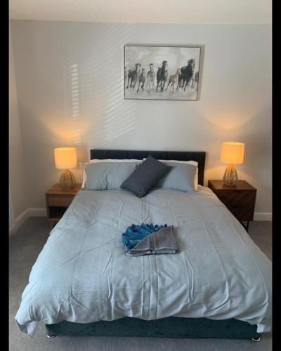 a bedroom with a large bed with two lamps at Beautiful Room in Apartment near Town Centre in Rugby