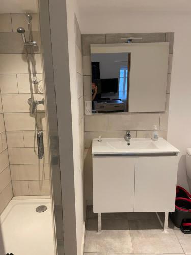 La salle de bains est pourvue d'un lavabo blanc et d'une douche. dans l'établissement La roue des teinturiers, à Avignon