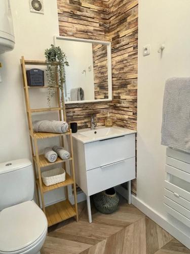 une salle de bain avec un lavabo et un miroir dans l'établissement Le Tropical - Studio avec terrasse, à Angoulême