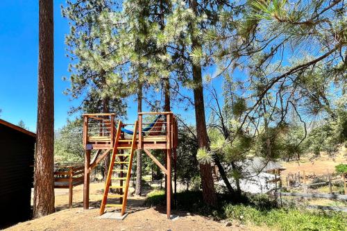 Sugar Pine Log Cabin – Photos 3
