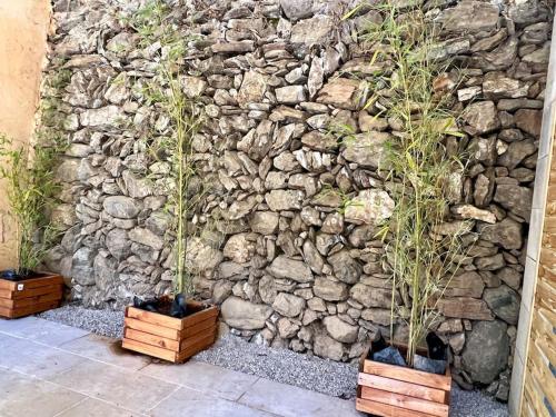 dois vasos de plantas em frente a uma parede de pedra em Charmant Logement avec piscine. em Valleraugue