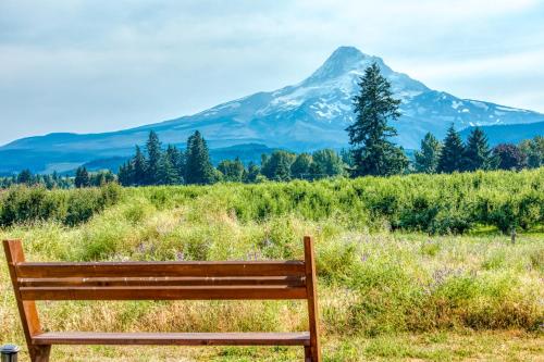 Mount Hood Vista – Photos 3
