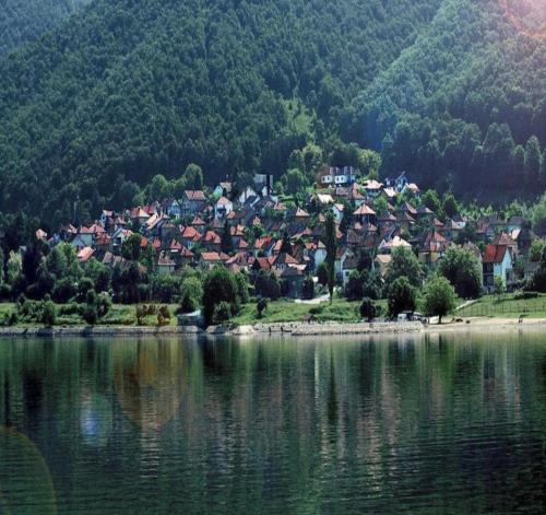una pequeña ciudad a orillas de un lago en Smeštaj Zeka Tekija, en Tekija