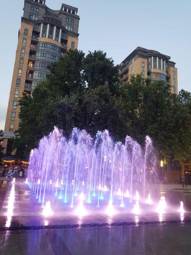 Luxe apartment in the center of Erevan