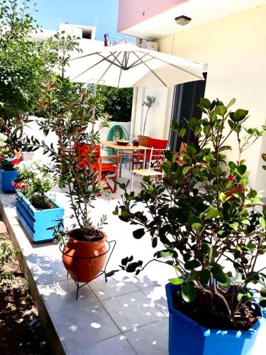 CASA di LIMONI