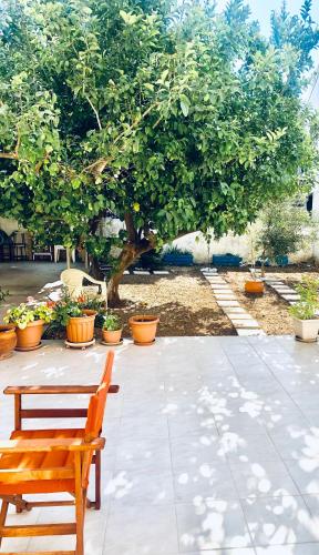 CASA di LIMONI