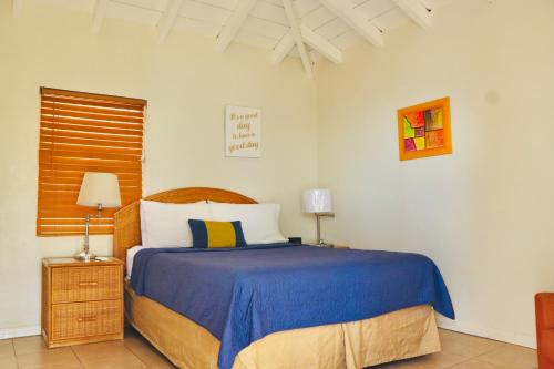a bedroom with a bed with a blue blanket at Northside Hideaway in St Thomas
