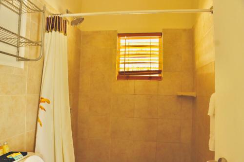 y baño con ducha y cortina de ducha. en Northside Hideaway, en Nazareth