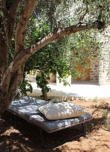 Κήπος έξω από το Aeonian Villa Ermioni
