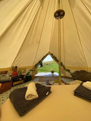 Foto sihtkohas Llanidloes asuva majutusasutuse Daisy Bell Tent at Belan Bluebell Woods galeriist