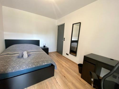 une chambre avec un lit, une commode et un miroir dans l'établissement Appartement spacieux pour 6 - Rive gauche - parking -093, à Rouen
