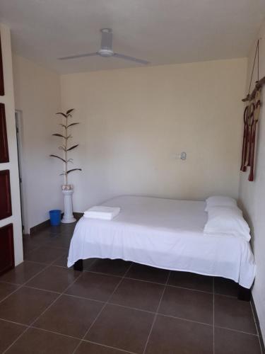 a bedroom with a bed with white sheets and a plant at Villa lirios in Valladolid