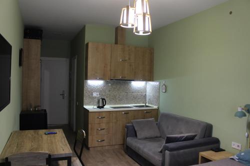 Köök või kööginurk majutusasutuses Travel to New Gudauri Loft 1 Apartment 117