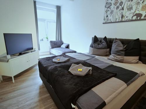 a bedroom with a large bed and a television at Appartement OTTO I - Erfurt Zentrum in Erfurt