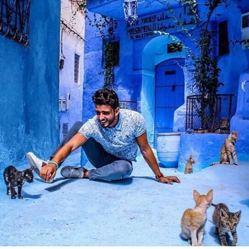 a man kneeling on the ground in front of some cats at Casa Plasa Grande in Chefchaouene