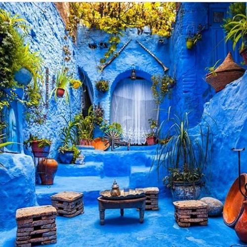 a blue room with a table and some plants at Casa Plasa Grande in Chefchaouene