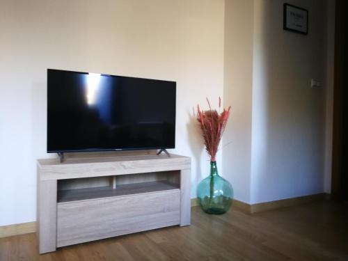 TV de pantalla plana en un puesto blanco con un jarrón en Ático O Rial, en Puentecesures