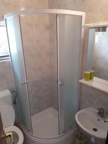 a bathroom with a shower and a toilet and a sink at Seaside secluded apartments Cove Vele Gacice, Hvar - 14255 in Bogomolje