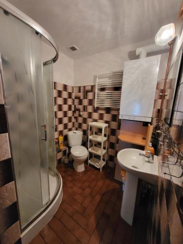 a bathroom with a toilet and a sink and a shower at Białowieża 131 in Białowieża