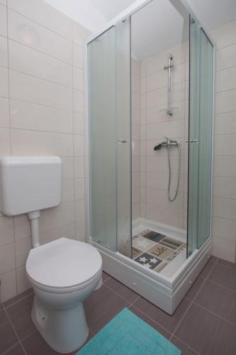 a bathroom with a toilet and a glass shower at Family-friendly apartments with swimming pool Verunic, Dugi otok - 14286 in Veli Rat