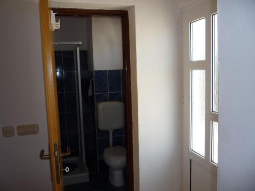 a bathroom with a toilet and a glass door at Apartments with a parking space Savar, Dugi otok - 14373 in Savar