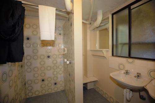 a bathroom with a sink and a shower with a window at Blizzard Bunny Lodge 43 Gippsland Street in Jindabyne