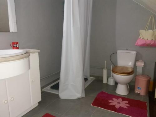 a bathroom with a toilet and a sink and a shower at Casa dragão in Porto