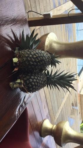 a pineapple sitting on top of a table at Villa F&B in Bocas del Toro
