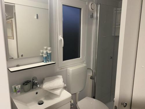 een badkamer met een toilet, een wastafel en een douche bij Apartment Pakostane 16579a in Pakoštane