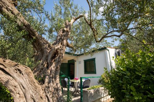 Apartment Klek 16545b – Photos 3